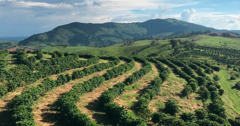 il tuo viaggio nel caffè