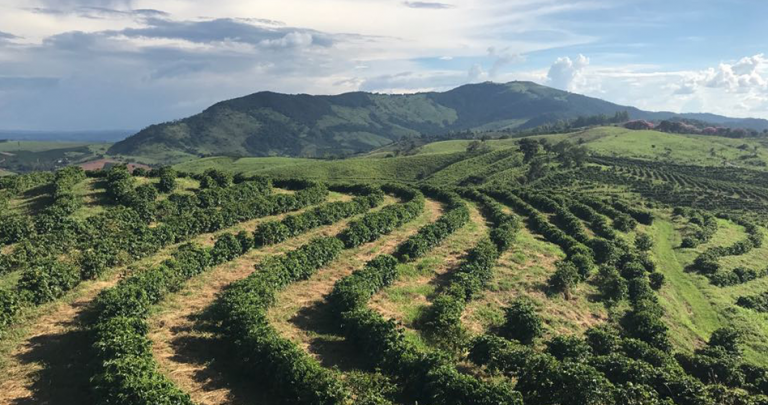 Inizia il tuo viaggio nel caffè